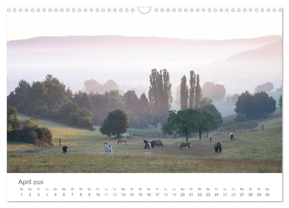 Märchenpferde (CALVENDO Wandkalender 2026)