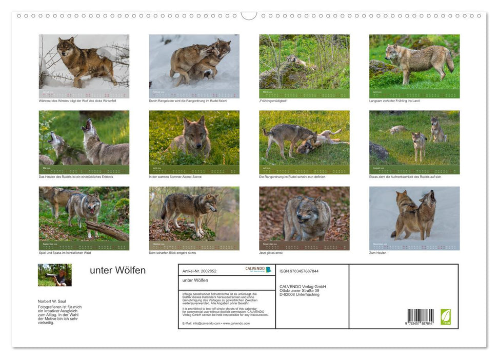 unter Wölfen (CALVENDO Wandkalender 2026)