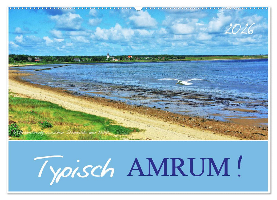 Typisch Amrum! (CALVENDO Wandkalender 2026)