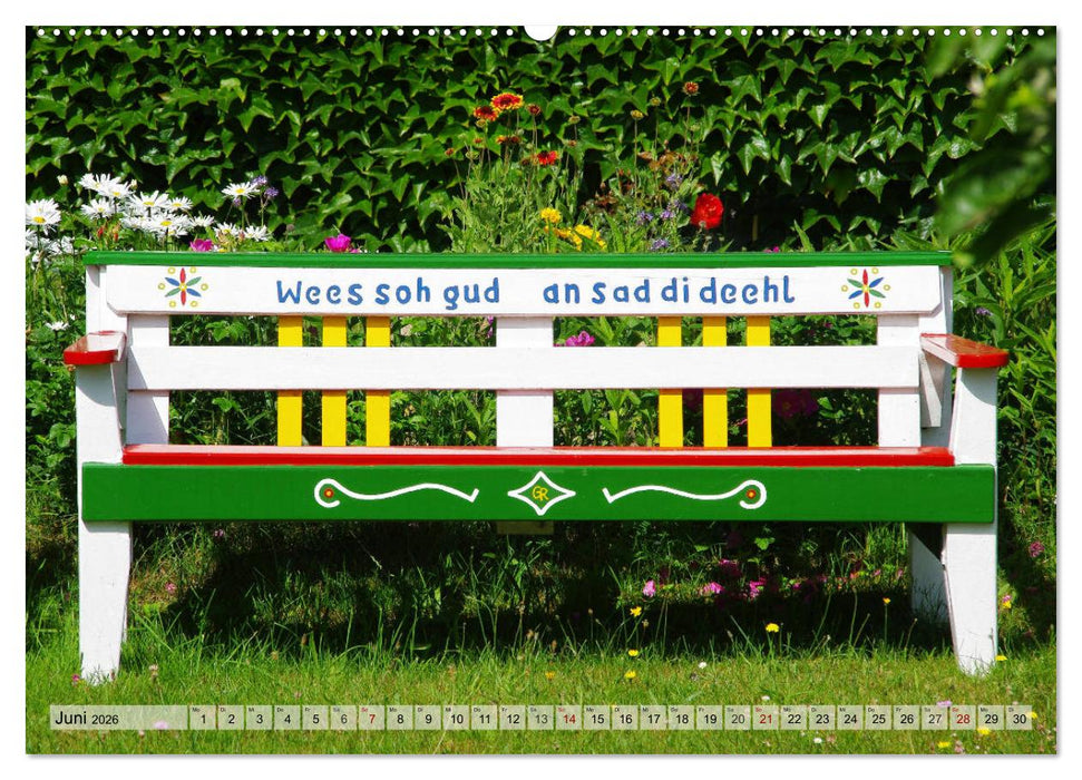 Typisch Amrum! (CALVENDO Wandkalender 2026)