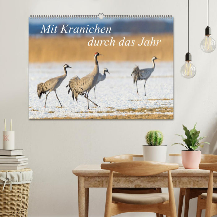 Mit Kranichen durch das Jahr (CALVENDO Wandkalender 2026)