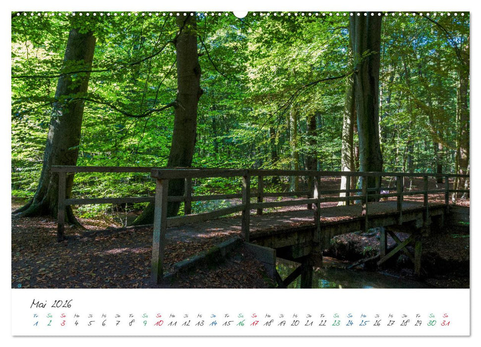 Delmenhorst Spätsommerbilder (CALVENDO Wandkalender 2026)