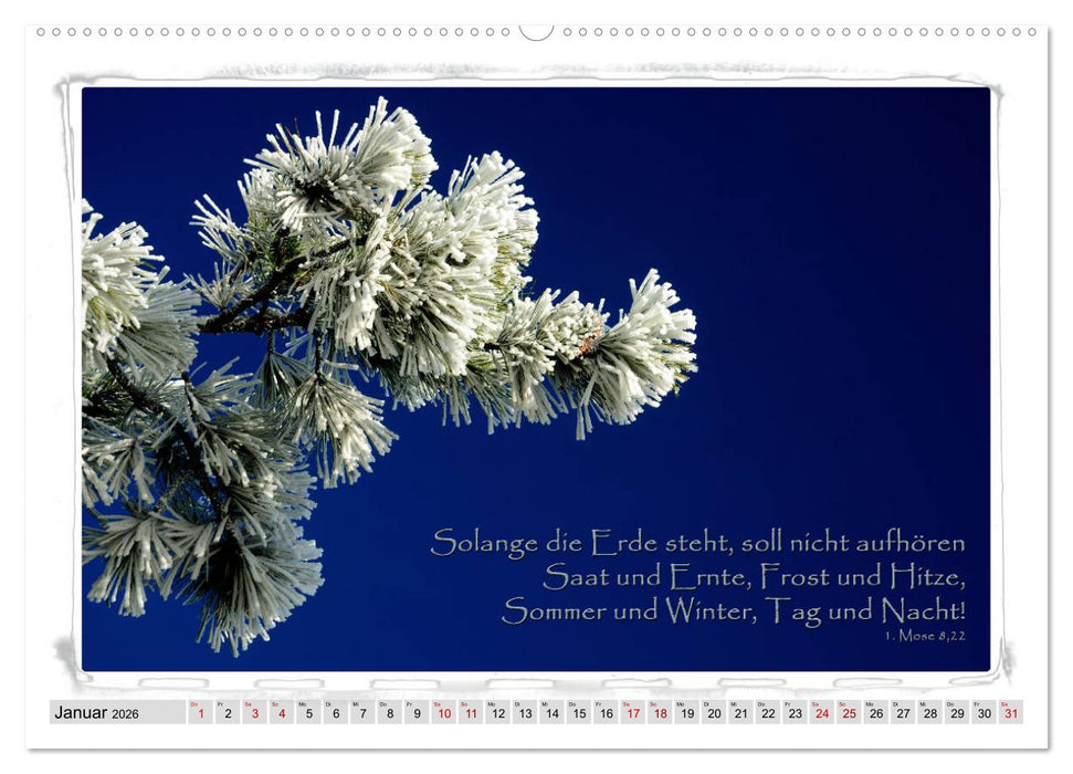 Biblische Sprüche und Verse (CALVENDO Wandkalender 2026)