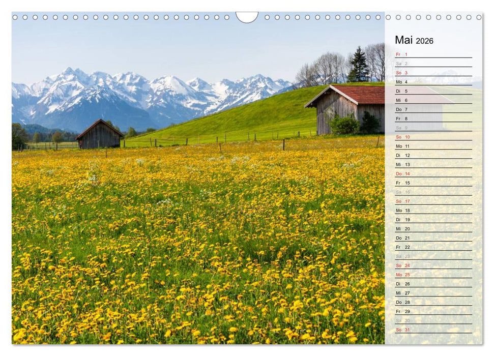 Oberallgäuer Landschaft (CALVENDO Wandkalender 2026)