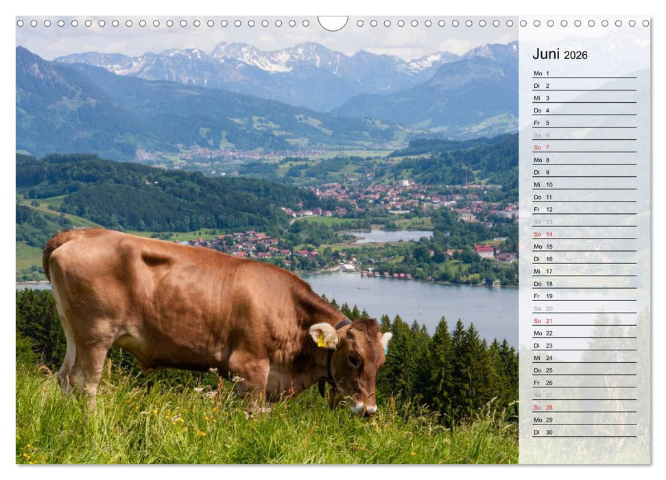 Oberallgäuer Landschaft (CALVENDO Wandkalender 2026)