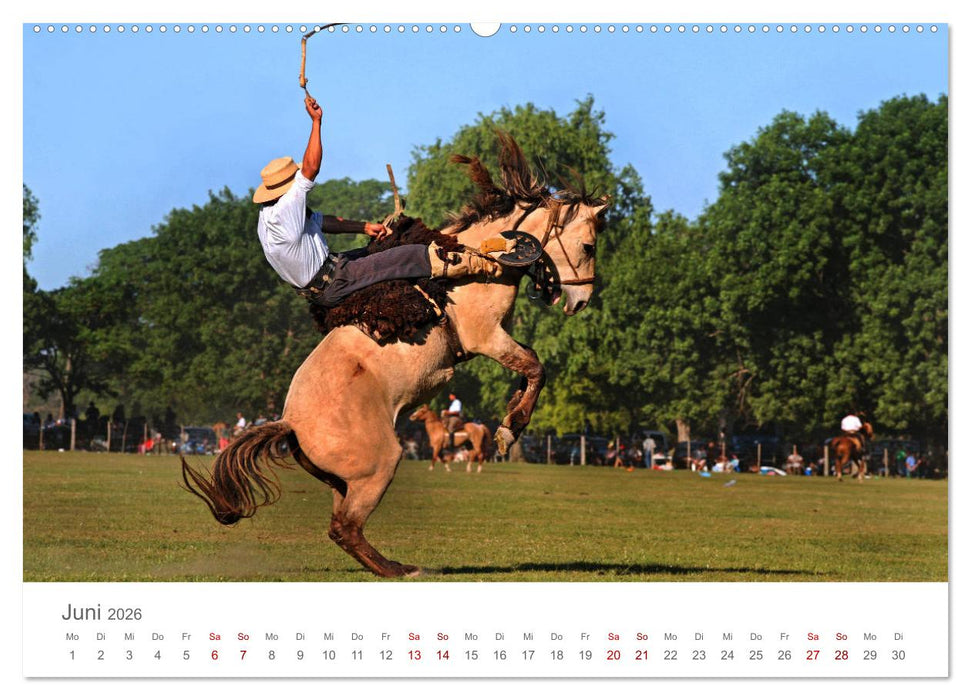Faszinierendes Argentinien (CALVENDO Wandkalender 2026)