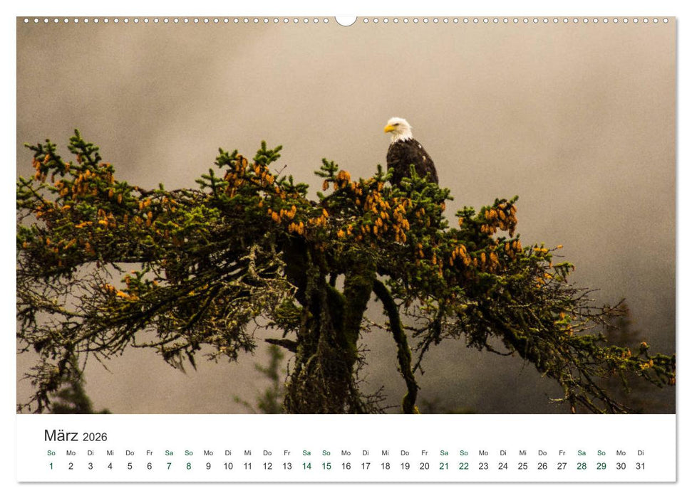 Into the Wild - Kanada und Alaska (CALVENDO Wandkalender 2026)
