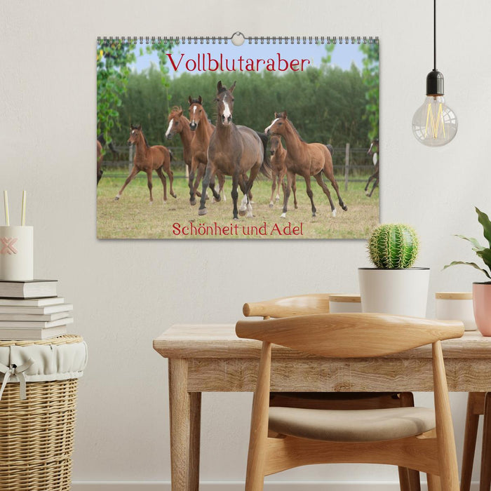 Vollblutaraber - Schönheit und Adel (CALVENDO Wandkalender 2026)