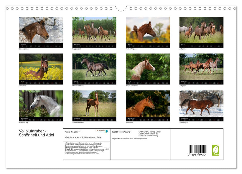 Vollblutaraber - Schönheit und Adel (CALVENDO Wandkalender 2026)