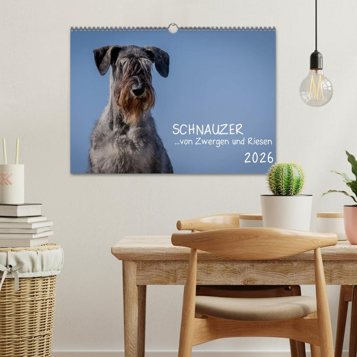 Schnauzer... von Zwergen und Riesen 2026 (CALVENDO Wandkalender 2026)