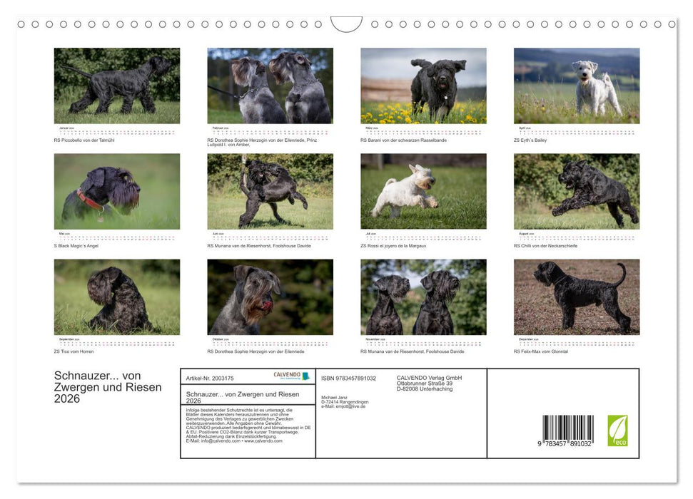 Schnauzer... von Zwergen und Riesen 2026 (CALVENDO Wandkalender 2026)