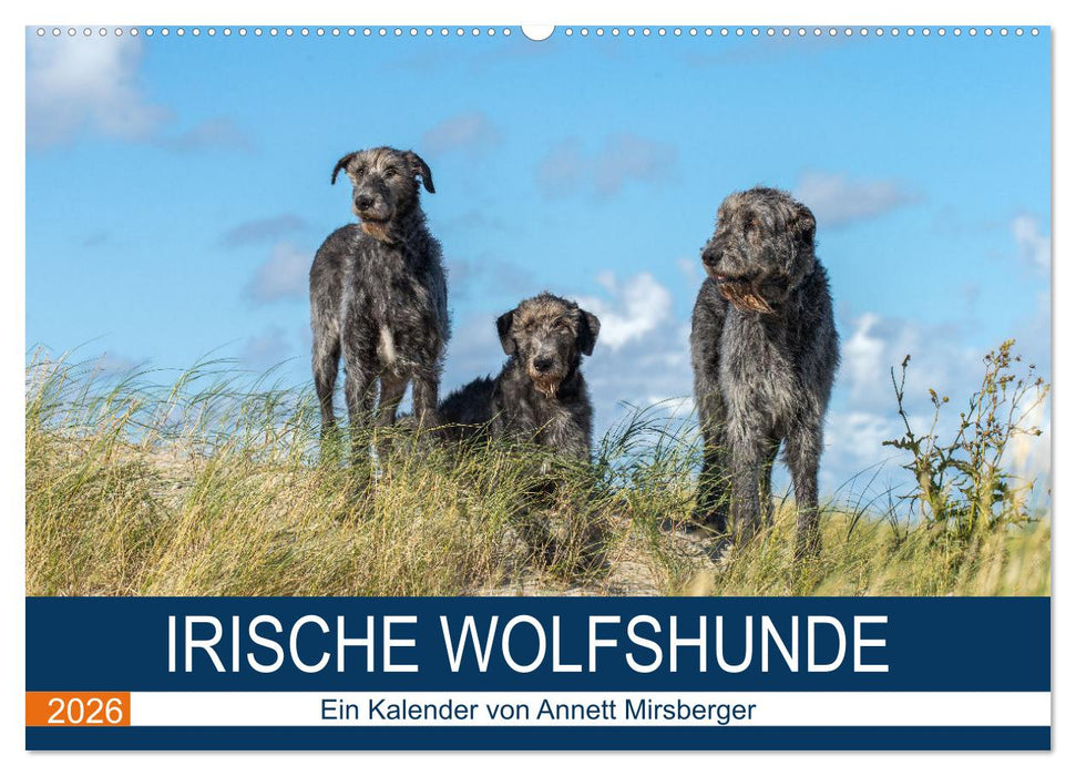 Irische Wolfshunde (CALVENDO Wandkalender 2026)