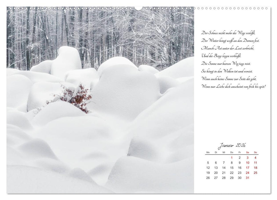 Max Dauthendey - Mit der Natur durchs Jahr (CALVENDO Wandkalender 2026)