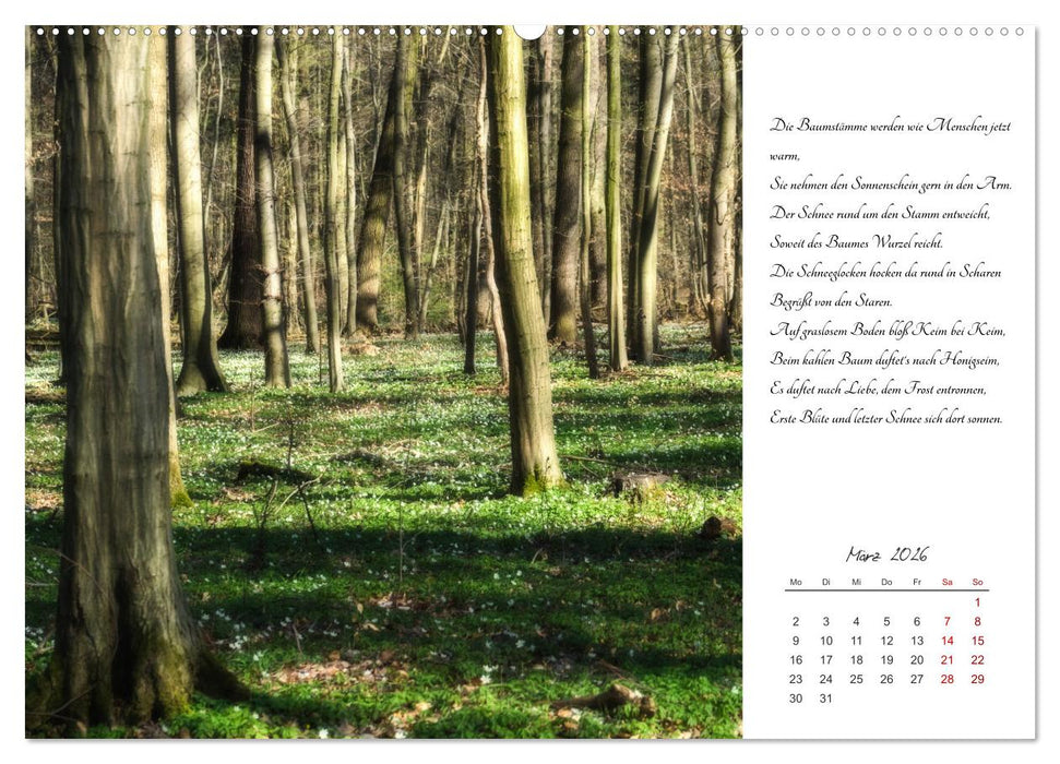 Max Dauthendey - Mit der Natur durchs Jahr (CALVENDO Wandkalender 2026)
