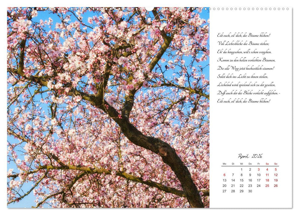 Max Dauthendey - Mit der Natur durchs Jahr (CALVENDO Wandkalender 2026)