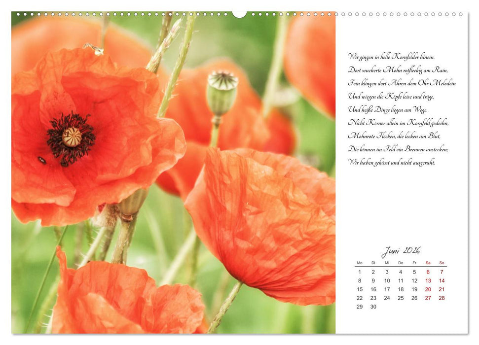 Max Dauthendey - Mit der Natur durchs Jahr (CALVENDO Wandkalender 2026)