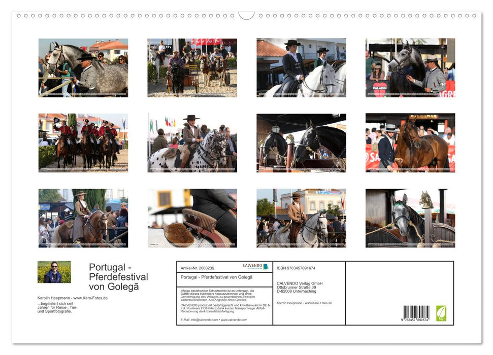 Portugal - Pferdefestival von Golegã (CALVENDO Wandkalender 2026)
