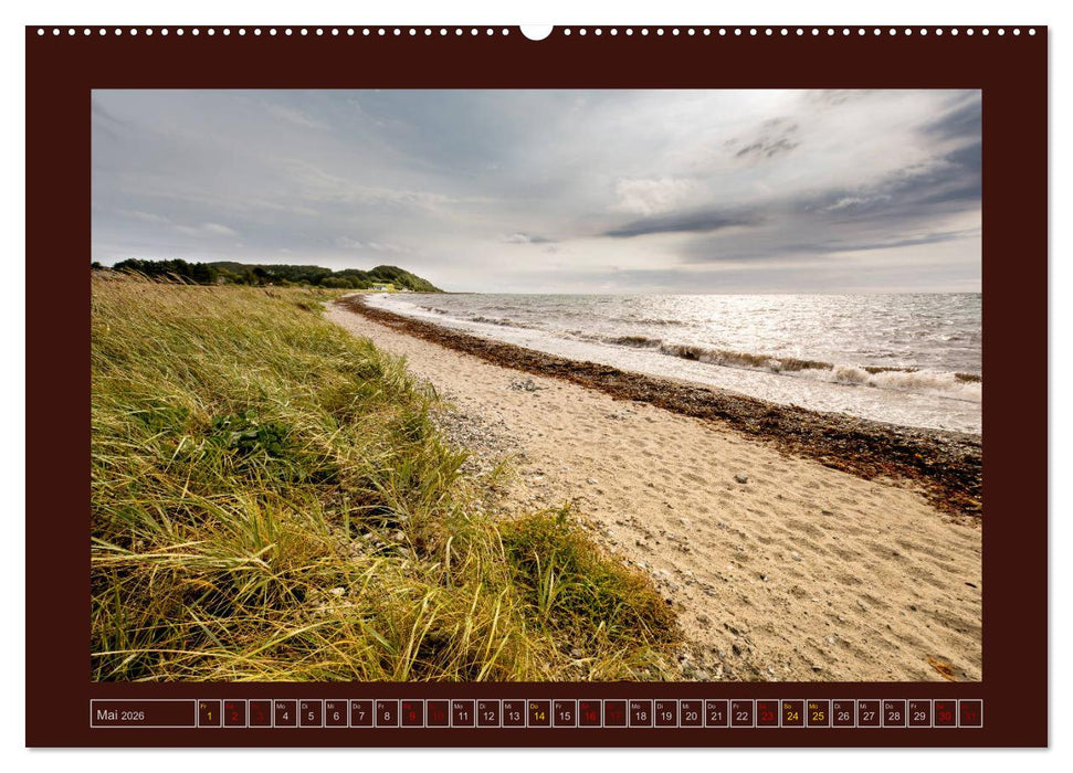 Streifzug durch Dänemark (CALVENDO Wandkalender 2026)