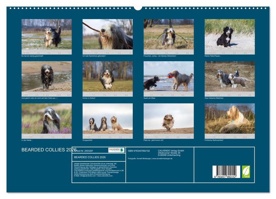BEARDED COLLIES 2026 (CALVENDO Premium Wandkalender 2026)