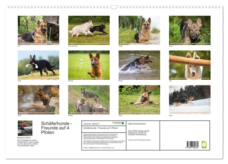 Schäferhunde - Freunde auf 4 Pfoten (CALVENDO Wandkalender 2026)