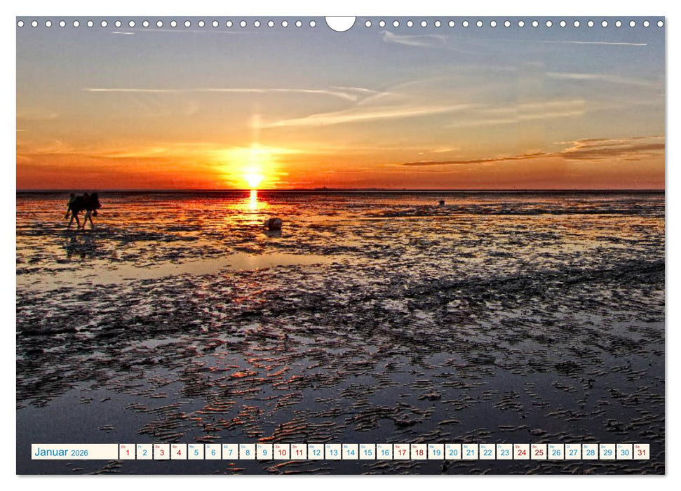 Sonnenuntergänge, an der Nordseeküste vor Cuxhaven (CALVENDO Wandkalender 2026)