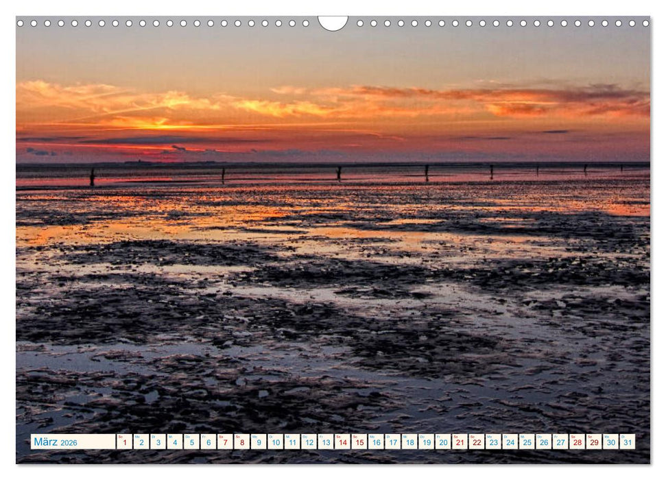 Sonnenuntergänge, an der Nordseeküste vor Cuxhaven (CALVENDO Wandkalender 2026)