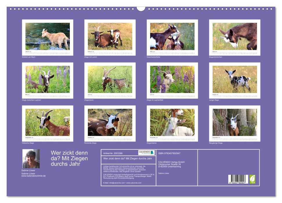 Wer zickt denn da? Mit Ziegen durchs Jahr (CALVENDO Wandkalender 2026)