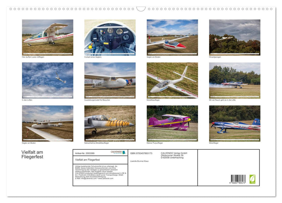Vielfalt am Fliegerfest (CALVENDO Wandkalender 2026)