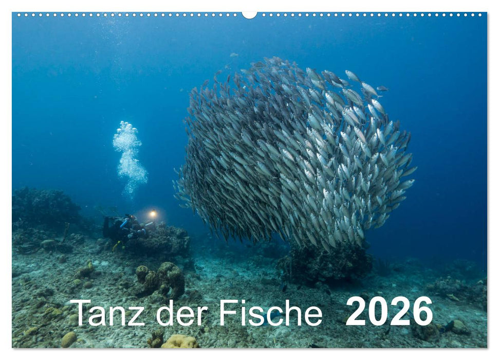 Tanz der Fische (CALVENDO Wandkalender 2026)