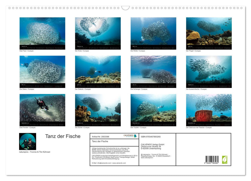 Tanz der Fische (CALVENDO Wandkalender 2026)