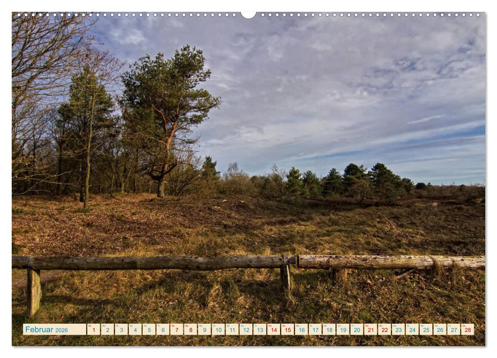 Cuxhaven, Landschaften zwischen Küste und Heide (CALVENDO Wandkalender 2026)