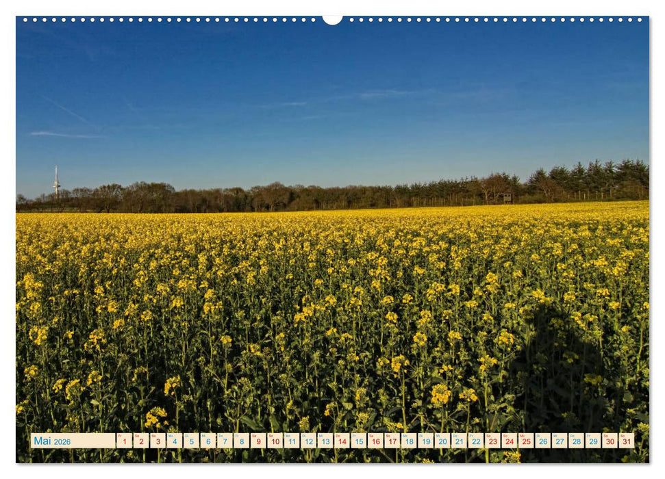 Cuxhaven, Landschaften zwischen Küste und Heide (CALVENDO Wandkalender 2026)