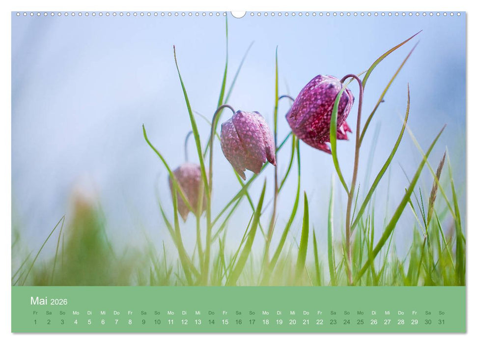 Farbwechsel - Die Farben der vier Jahreszeiten (CALVENDO Wandkalender 2026)