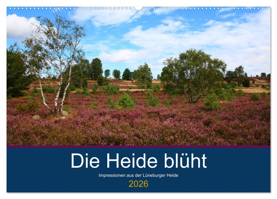 Die Heide blüht (CALVENDO Wandkalender 2026)