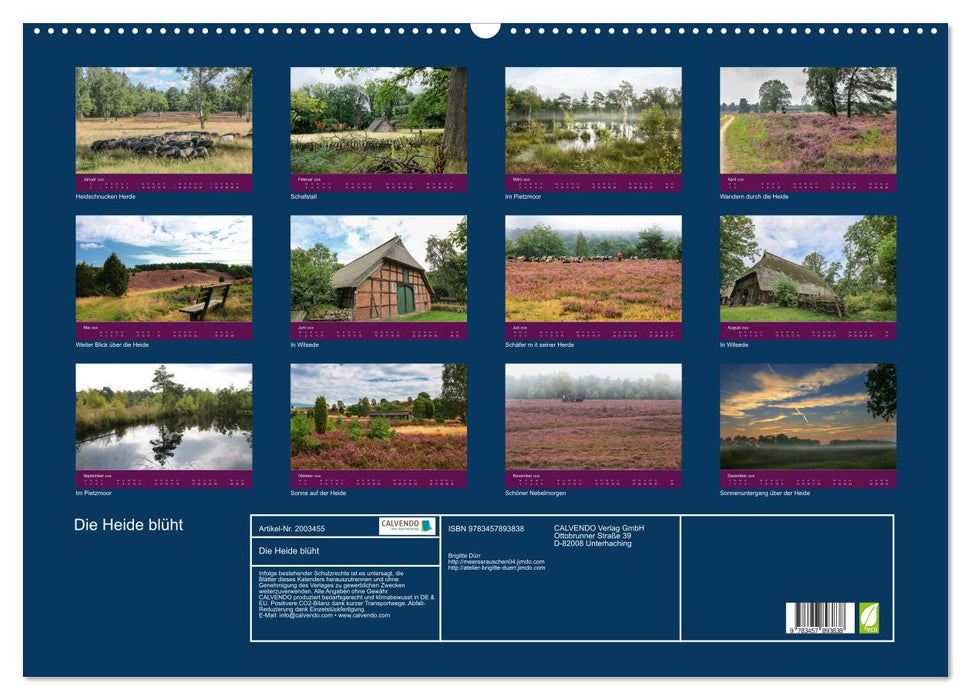 Die Heide blüht (CALVENDO Wandkalender 2026)