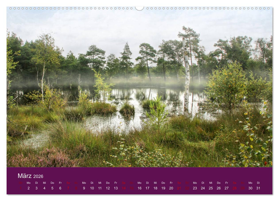 Die Heide blüht (CALVENDO Wandkalender 2026)