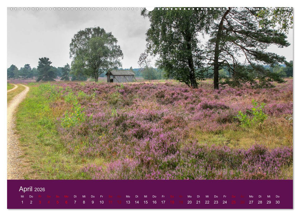 Die Heide blüht (CALVENDO Wandkalender 2026)