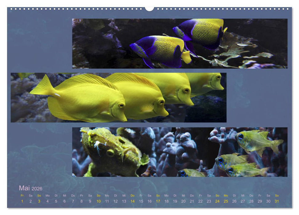 Küstenträume im Panoramablick (CALVENDO Wandkalender 2026)