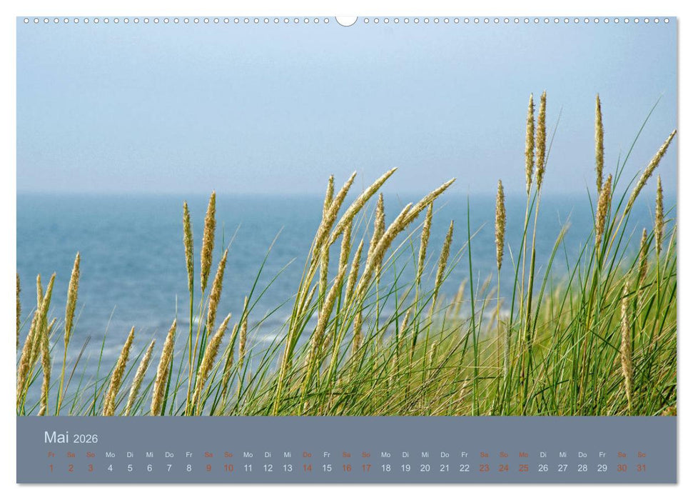 Tag am Meer (CALVENDO Wandkalender 2026)
