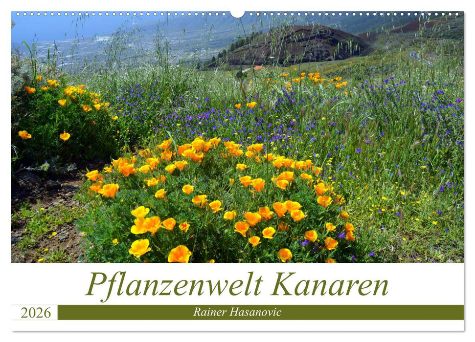 Pflanzenwelt Kanaren (CALVENDO Wandkalender 2026)