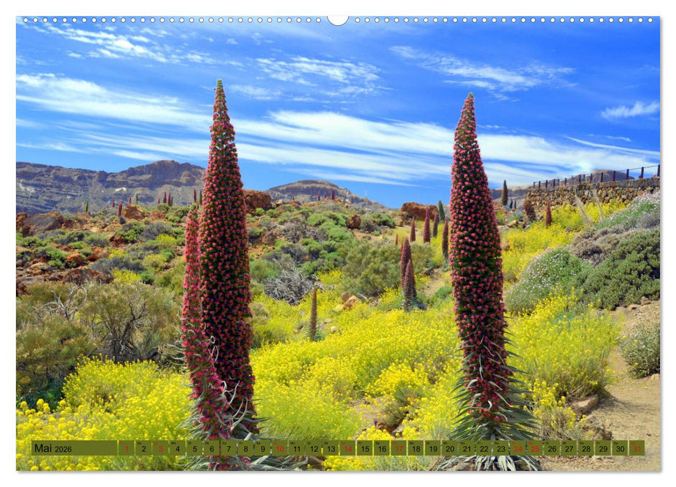 Pflanzenwelt Kanaren (CALVENDO Wandkalender 2026)