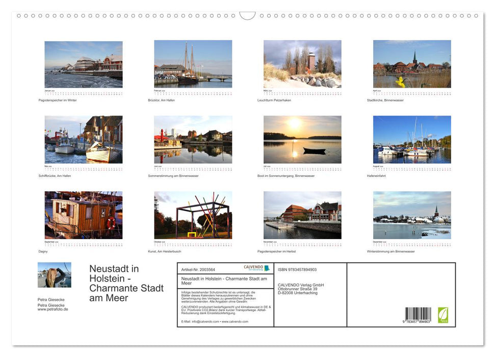 Neustadt in Holstein - Charmante Stadt am Meer (CALVENDO Wandkalender 2026)
