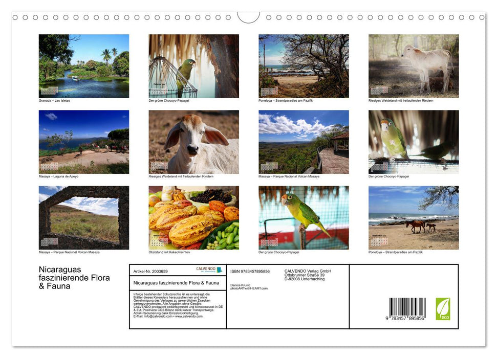 Nicaraguas faszinierende Flora & Fauna (CALVENDO Wandkalender 2026)