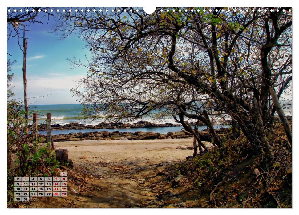 Nicaraguas faszinierende Flora & Fauna (CALVENDO Wandkalender 2026)
