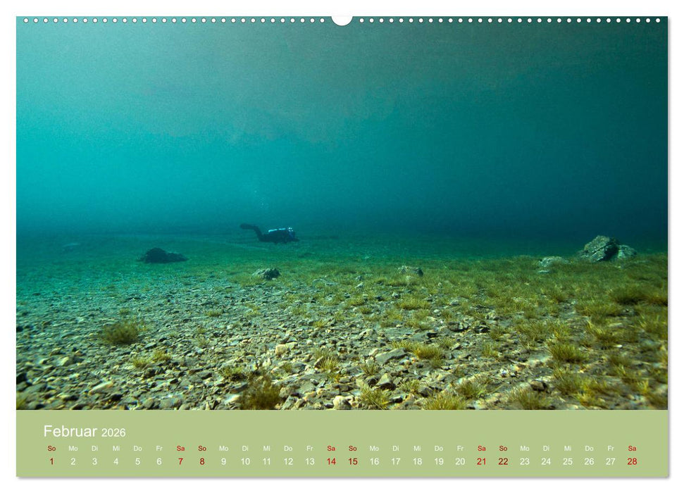 Faszination Süsswasser (CALVENDO Wandkalender 2026)