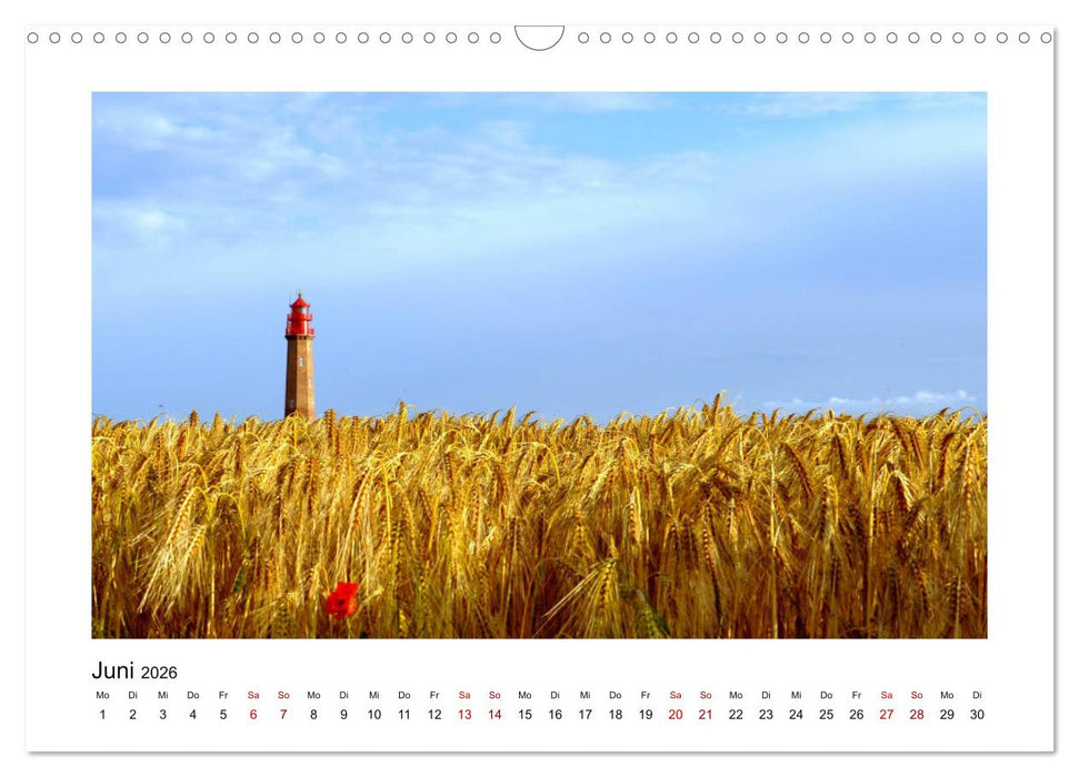 Fehmarn - Bewegende Momente (CALVENDO Wandkalender 2026)
