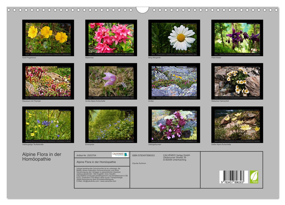 Alpine Flora in der Homöopathie (CALVENDO Wandkalender 2026)