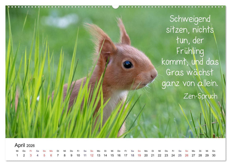 Der literarische Eichhörnchen-Kalender (CALVENDO Wandkalender 2026)