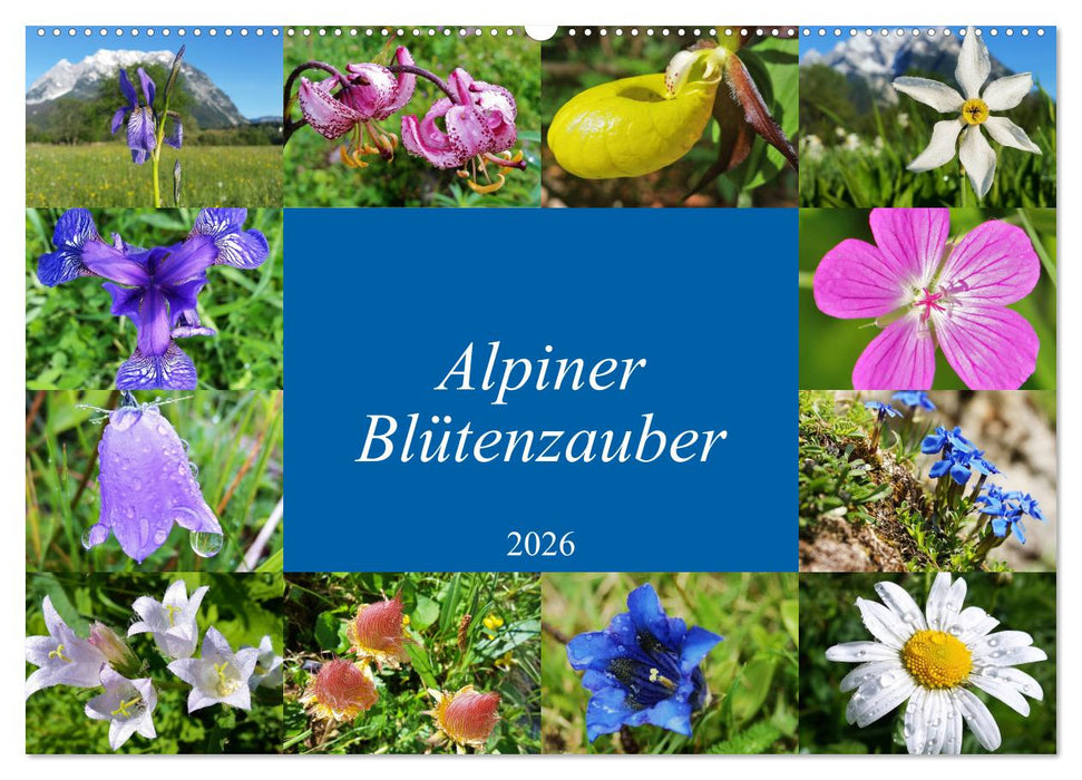 Alpiner Blütenzauber (CALVENDO Wandkalender 2026)