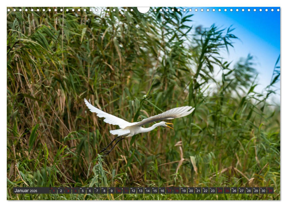 Das Paradies Donaudelta (CALVENDO Wandkalender 2026)